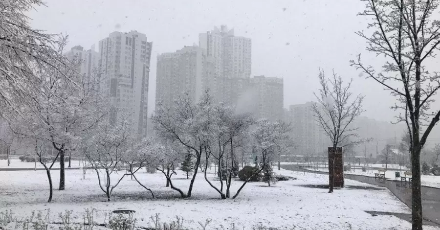 Погода в Украине 20 ноября: снег с дождем и штормовой ветер