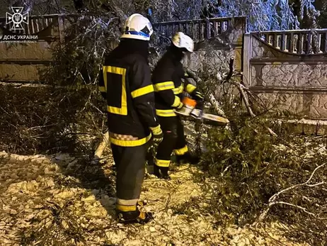 Непогода вызвала «деревопад» в четырех областях, в Запорожье ветер вынес на дорогу бетонный блок