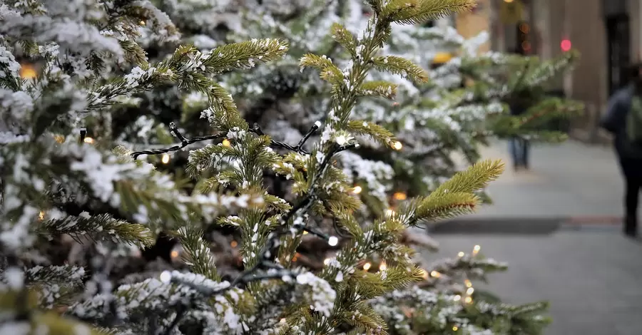 Новогоднюю елку во Львове вместо звезды украсят противотанковым ежом