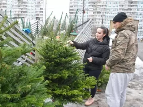 Різдвяні дерева вже у продажу: сосна кримська колюча, ялиця біла або ялина канадська
