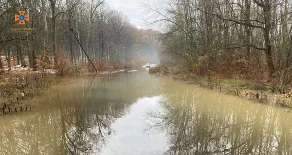 На Закарпатье из-за дождей поднялась вода в реках — подтоплены дома и поля