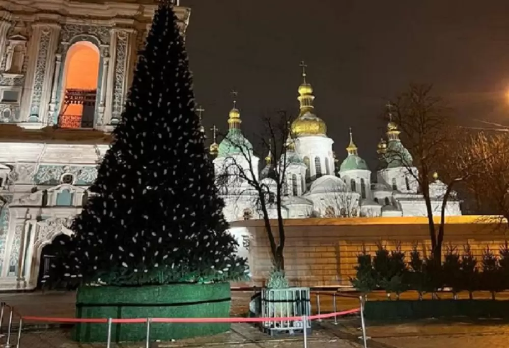 В Киеве установили елку - осталось только украсить