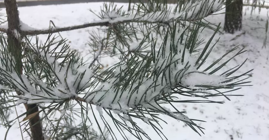 Погода в Україні 7 грудня: вночі мороз, а вдень сніг та дощ