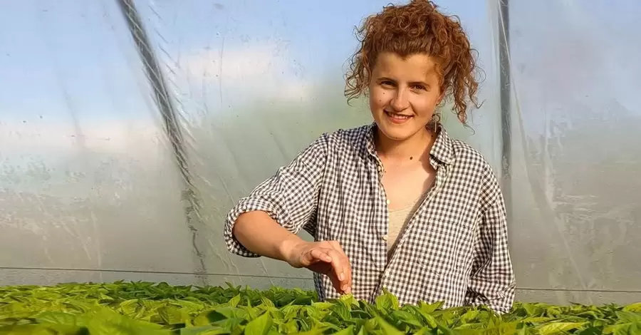 От сладкого до острого: на Виннитчине бывшая учительница выращивает перец и готовит военным обеды