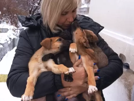Зоозащитники эвакуировали из Херсонской области восемь щенков 