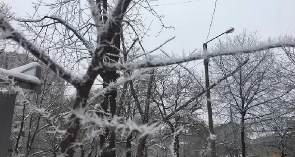 Синоптики обещают на Рождество снег и дождь