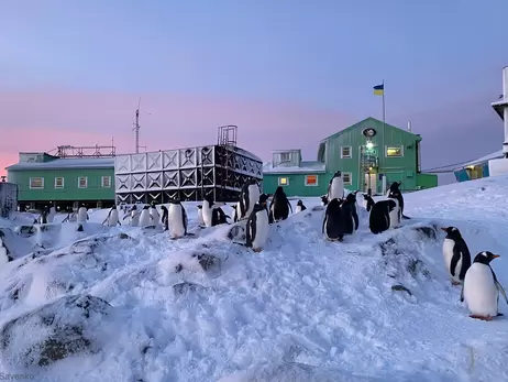 Кабмин продлил на два года нахождение полярников на станции «Академик Вернадский»