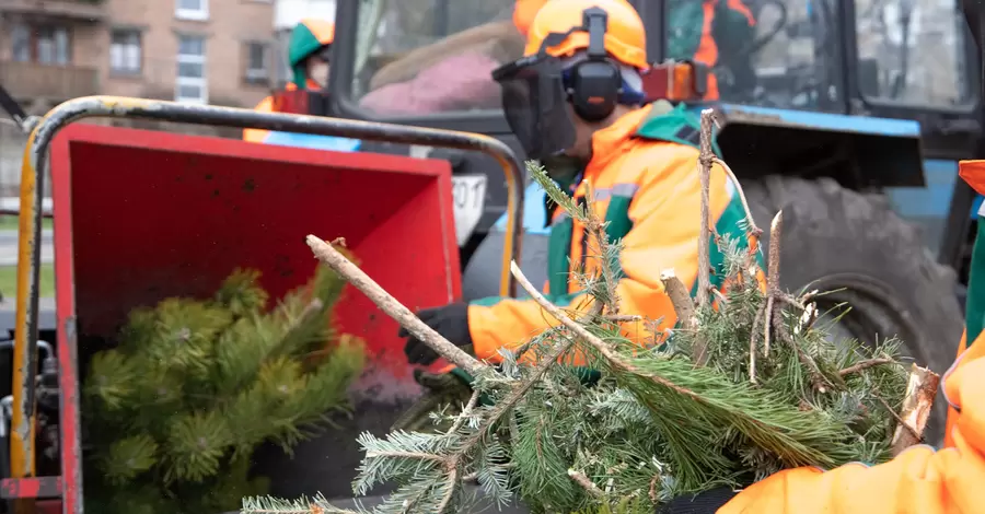 В январе в Киеве заработают пункты приема елок