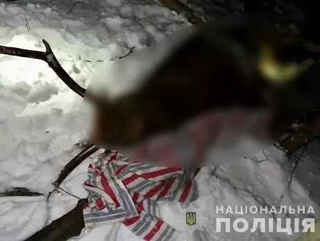 В Сумской области браконьеры убили оленя