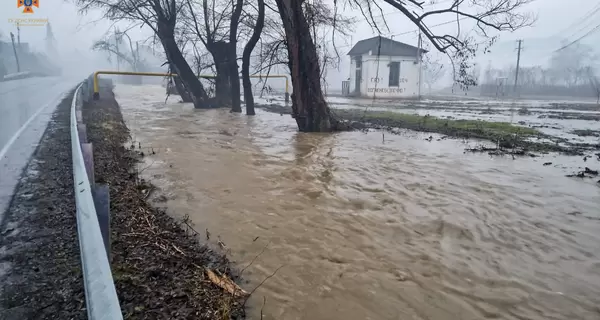 На Закарпатье из-за оттепели началось наводнение, дома и дороги подтоплены 