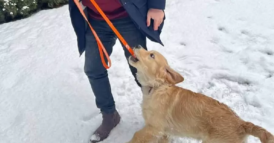 Александр Ткаченко в день рождения показал свою собаку и призвал донатить на дроны для ВСУ