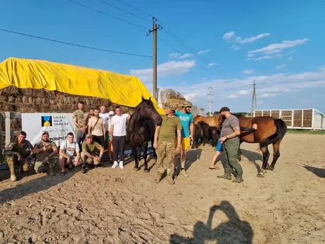 Кони победы. Как под Харьковом лошади помогают военным перезагрузиться