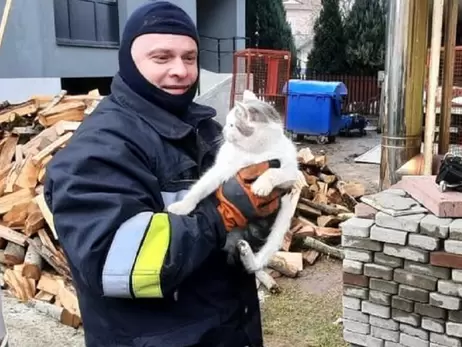 На Прикарпатье спасатели освободили кота из отверстия бетонной плиты