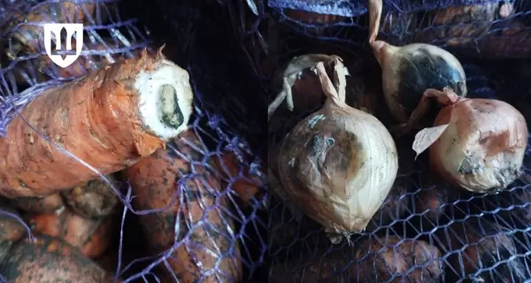  Бойцам ВСУ пытались поставить 362 тонн некачественных овощей и фруктов