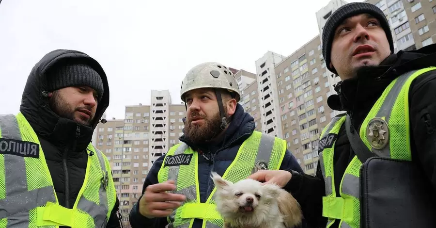 У Києві поліцейські врятували собаку, заблокованого у зруйнованій квартирі після обстрілу
