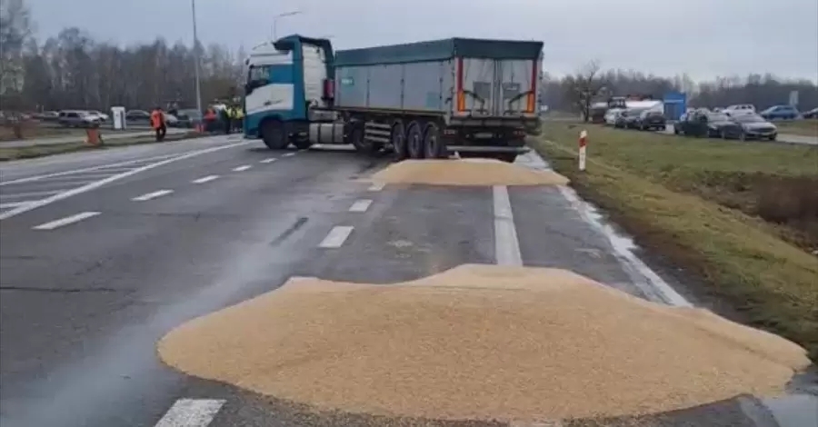 Польща розпочала розслідування інциденту з українським зерном 