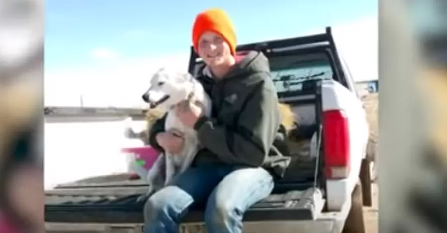 Собаку, пропавшую четыре года назад в Колорадо, нашли в тысяче километров, у мексиканской границы