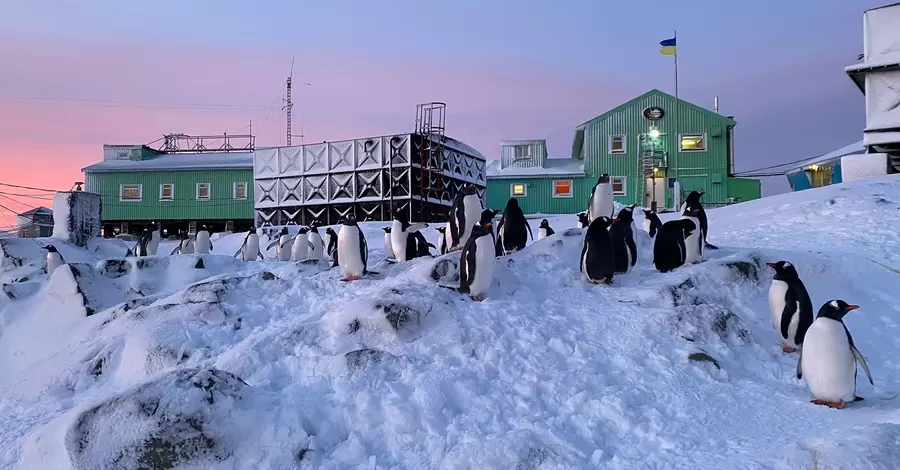 Українські полярники показали, як виглядає літня ніч біля станції 