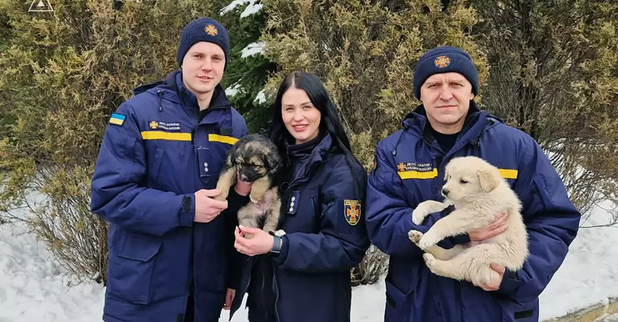 На Харківщині працівники ДСНС врятували двох цуценят