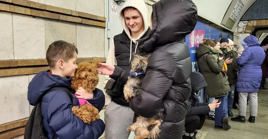 У київському метро розглядають можливість перевезення тварин