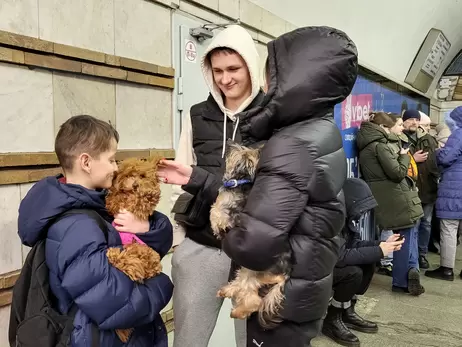 В киевском метро рассматривают возможность перевозки животных