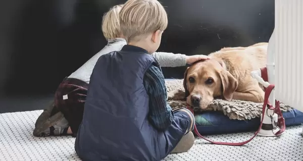 Ребенок и собака: как выстроить правильные отношения и обойтись без укусов 