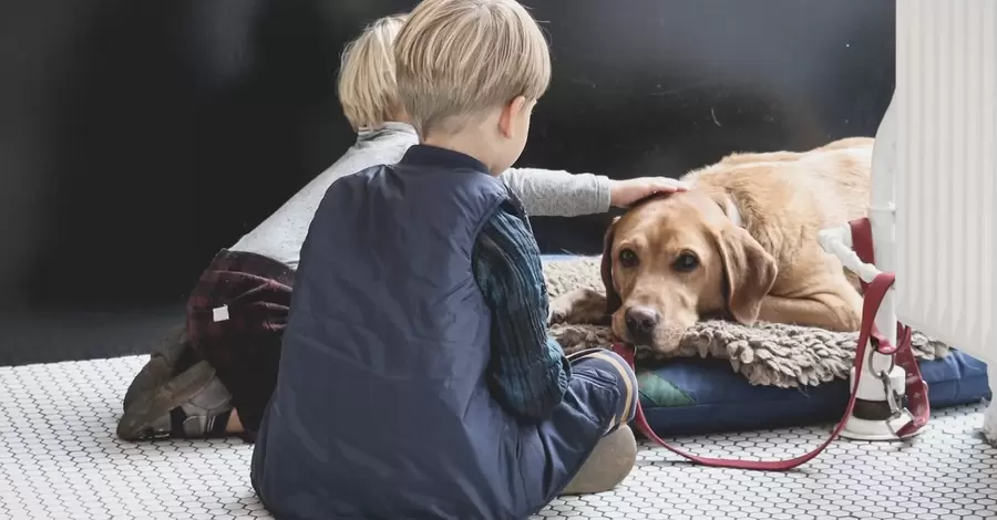 Дитина та собака: як побудувати правильні стосунки та обійтися без укусів 