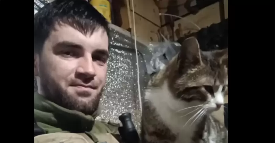 Настоящая хозяйка блиндажа: 128-я отдельная бригада теробороны показала кошку Масяню, которая всегда на боевом дежурстве