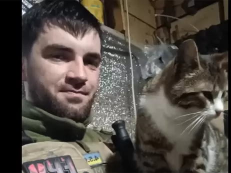 Настоящая хозяйка блиндажа: 128-я отдельная бригада теробороны показала кошку Масяню, которая всегда на боевом дежурстве