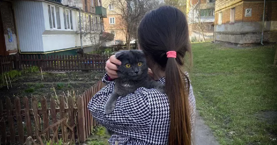 На Львівщині дівчина хотіла врятувати кота, а довелося рятувати ще й її 