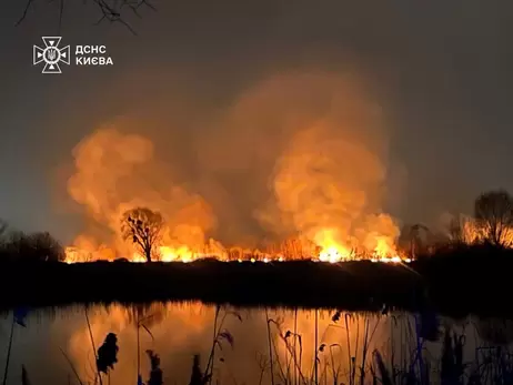 У Києві масштабна пожежа на території екопарку «Осокорки»