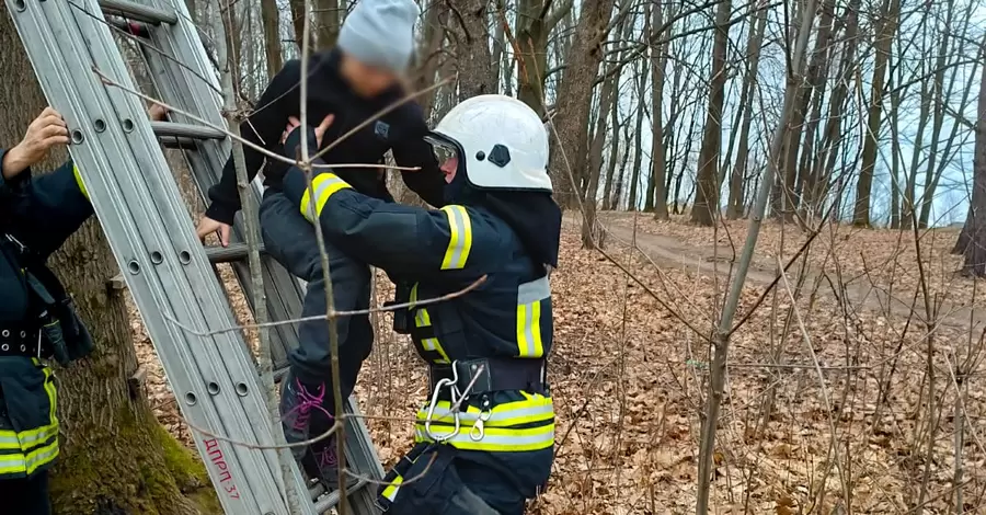 На Львівщині врятували ддівчинку, яка застрягла на дереві 