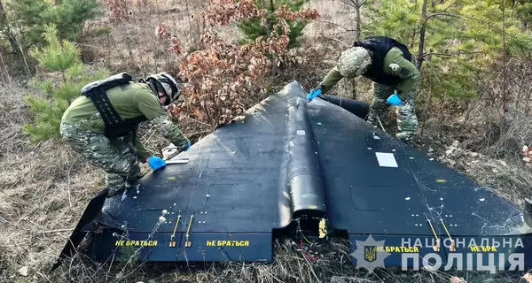 В лесу Винницкой области черный 