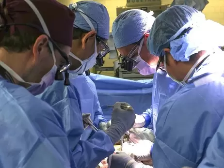 У США медики вперше пересадили живому пацієнту генномодифіковану нирку свині