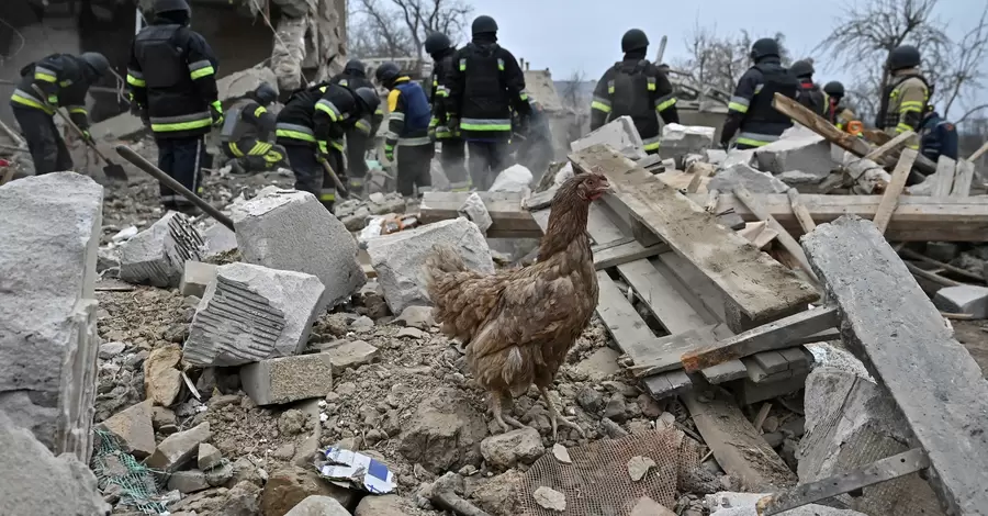 У Запоріжжі після удару РФ з-під завалів врятували курку
