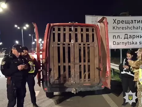 В Киеве задержали водителя, который вез девять пятнистых оленей, один из них умер