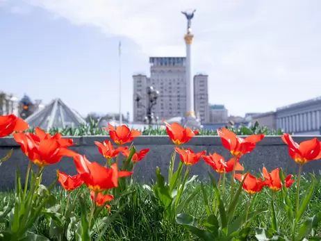 В Киеве расцвели первые тюльпаны - тысячи цветов украсили районы столицы