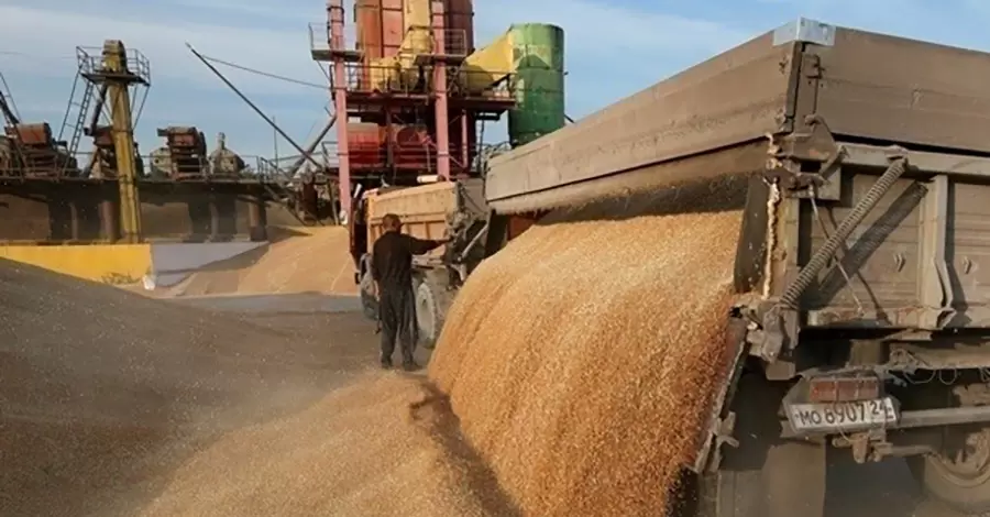 За інформатаками на Держпродспоживслужбу ховаються спроби повернути корупційні схеми – зернотрейдери