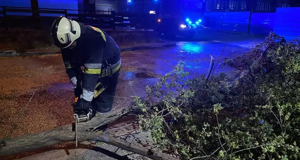 В Запорожье силы ГСЧС всю ночь ликвидировали последствия непогоды