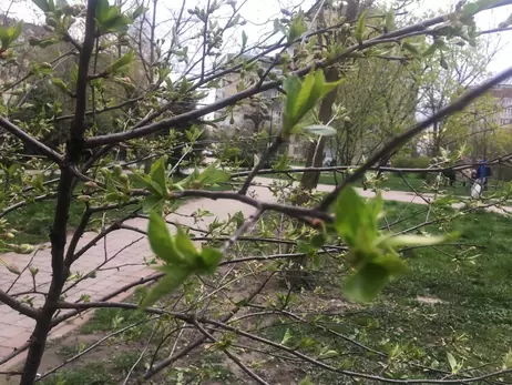 В Україну йде циклон з дощами та сильним вітром