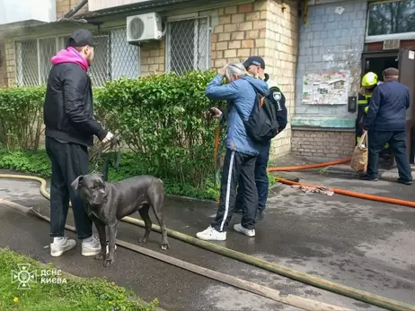 У Києві рятувальники винесли з палаючої квартири понад десять собак та котів 