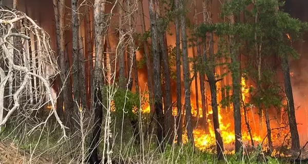 В Харьковской области горят почти четыре тысячи гектаров леса