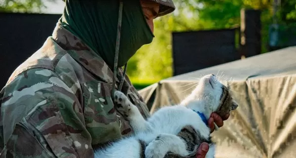 Пограничники в Харьковской области спасли кота, которого бросили хозяева