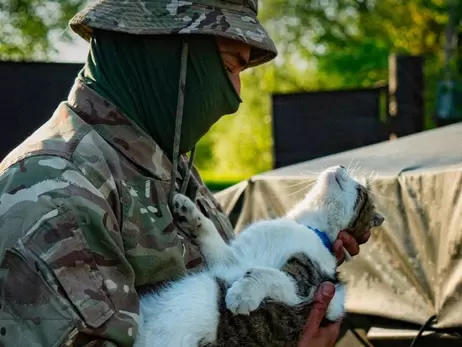Пограничники в Харьковской области спасли кота, которого покинули хозяева