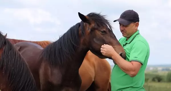 Ветеран зі Львівщини перетворив ферму на туристичну локацію та місце реабілітації військових