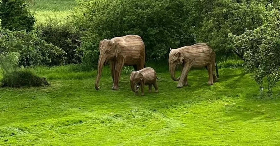 Жена Джонсона подарила ему на 60-летие гигантских деревянных слонов
