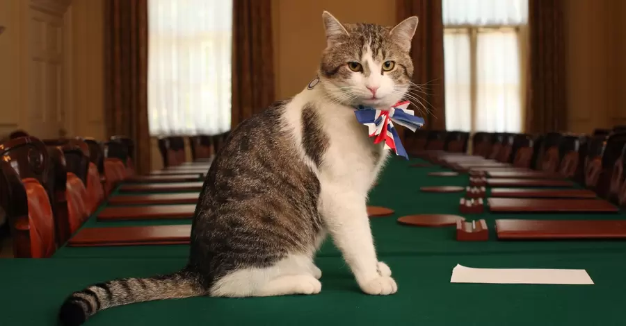 Как кот из приюта на политику Лондона влияет: останется ли Ларри на Даунинг-стрит, 10