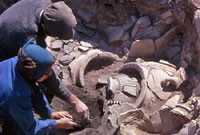 Польские археологи раскопали в Керчи древний город 
