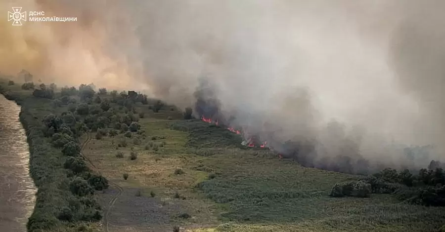 На Миколаївщині горить Андріївське урочище, вогонь зачепив житлові будинки