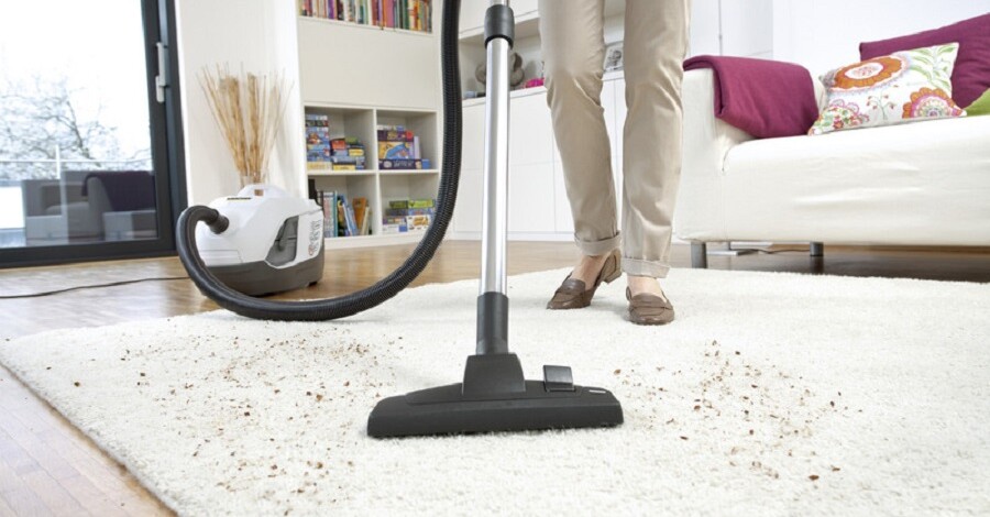 Пылесос Karcher Ds 6 Premium Plus Купить